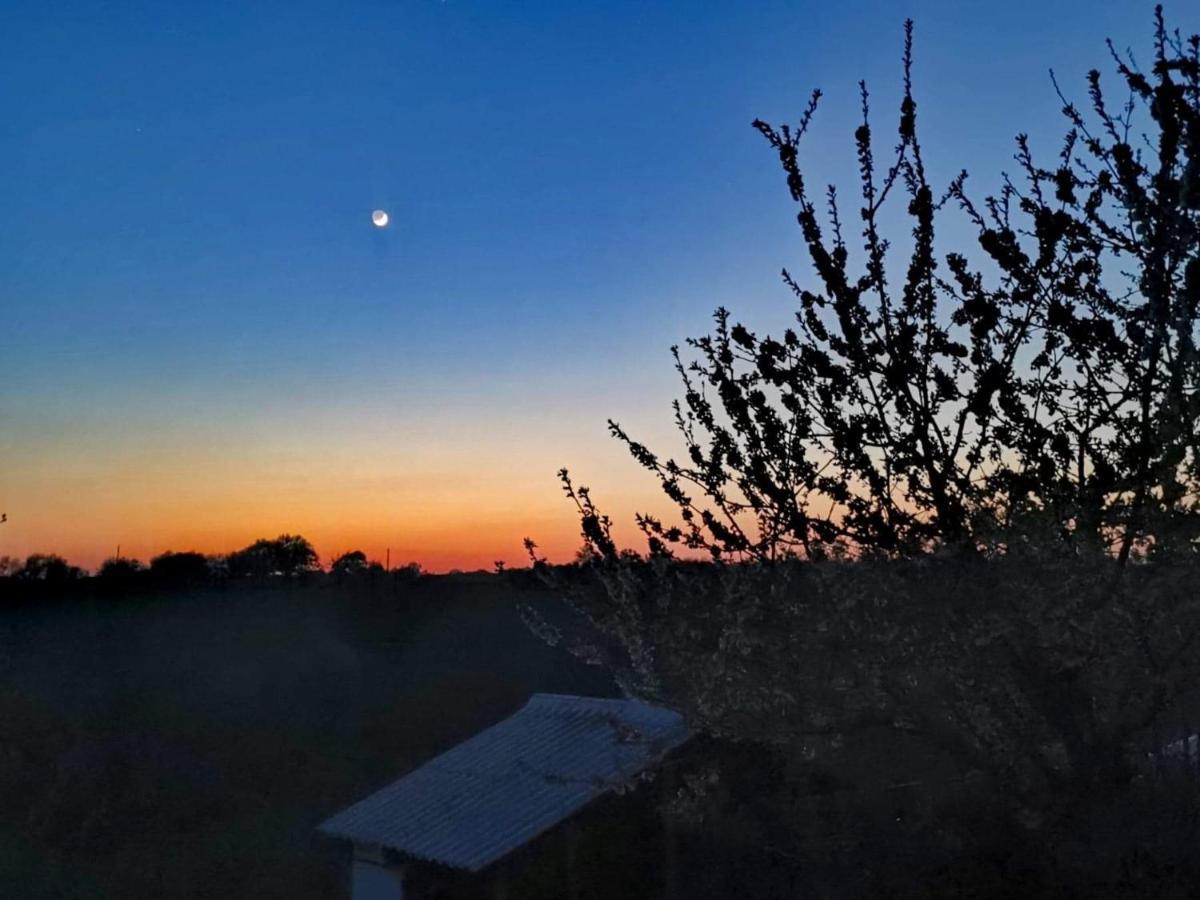 Gite Mimosa Saint-Florent-des-Bois Eksteriør bilde
